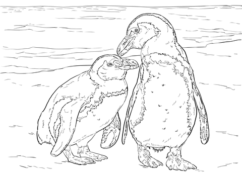 Two African Penguins Coloring Page